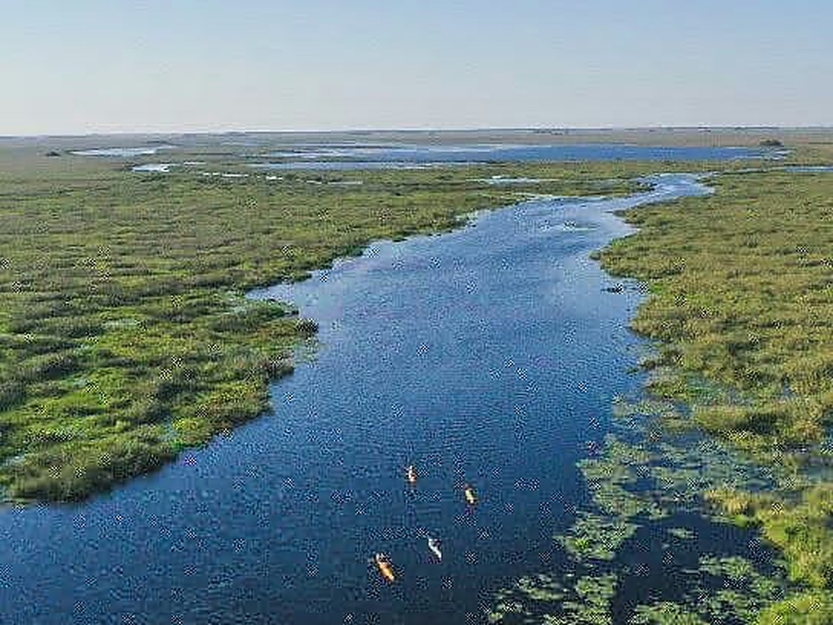 Kayak nos Esteros del Iberá